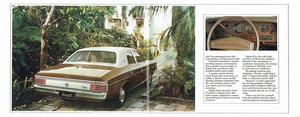 1976 Chrysler CL Regal-04-05.jpg